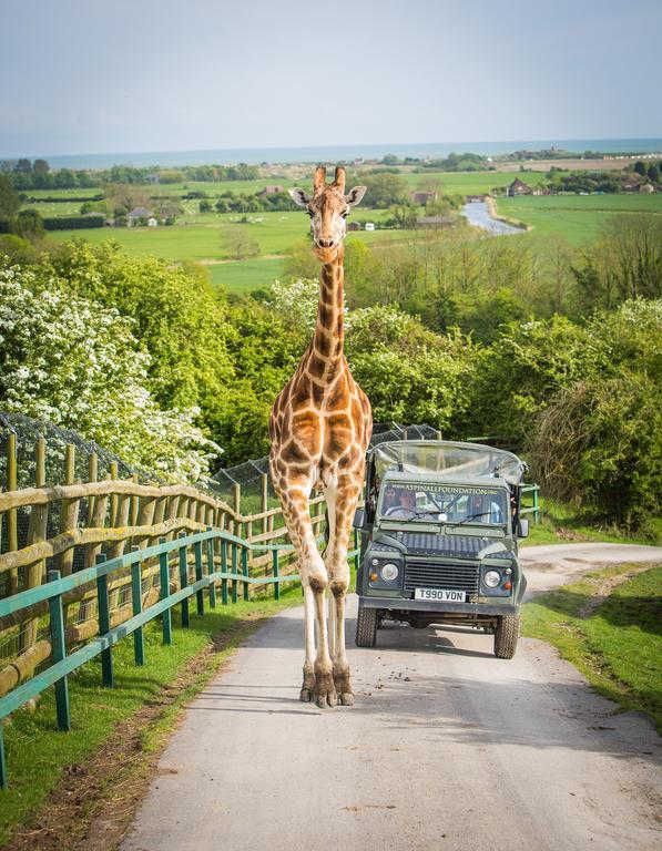 Port Lympne Hotel & Reserve Exterior foto