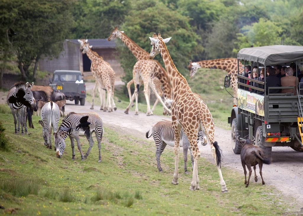 Port Lympne Hotel & Reserve Exterior foto